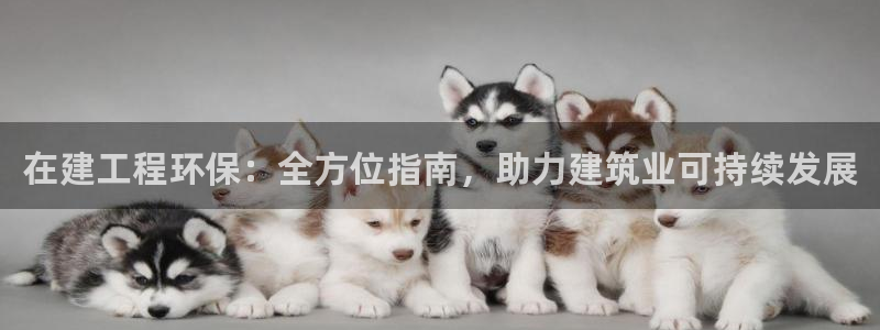 最新彩名堂计划：在建工程环保：全方位指南，助力建筑业可持续发展