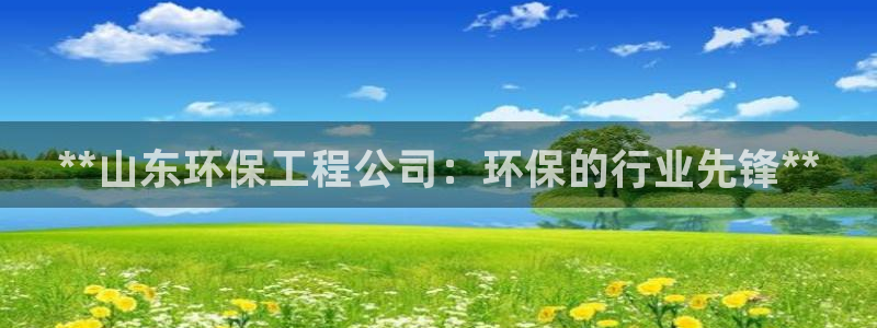 彩名堂手机客户端怎么下载：**山东环保工程公司：环保的行业先锋**