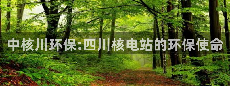 彩名堂预测软件：中核川环保:四川核电