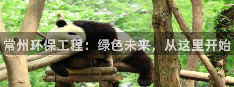 下载彩名堂预测计划软件安卓：常州环保工程：绿色未来，从这里开始