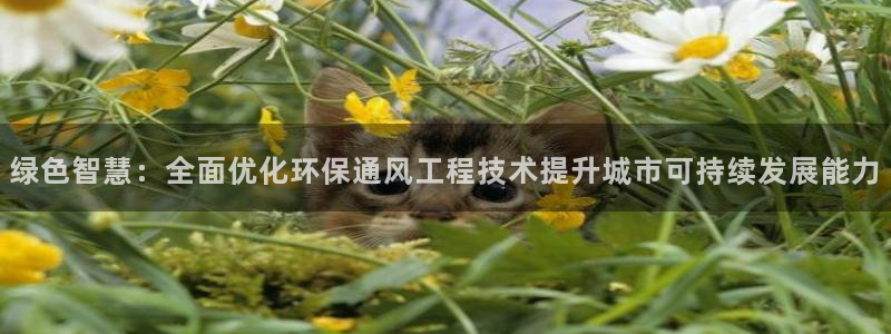 彩名堂官网计划怎么下载到手机：绿色智