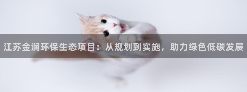 彩名堂计划怎么跟不挂：江苏金润环保生