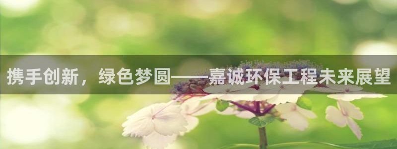 彩名堂客服：携手创新，绿色梦圆——嘉