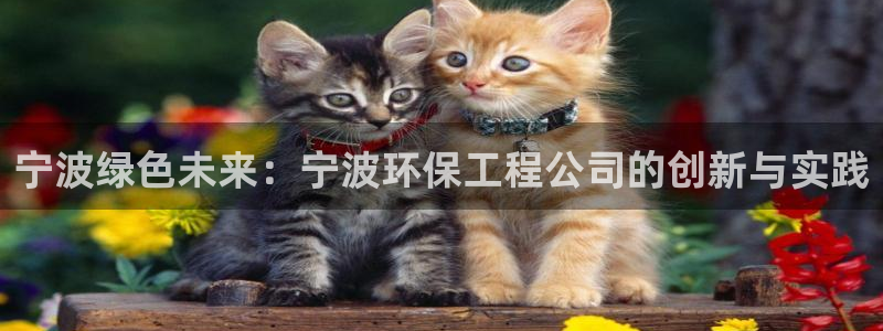 下载彩名堂预测计划软件：宁波绿色未来