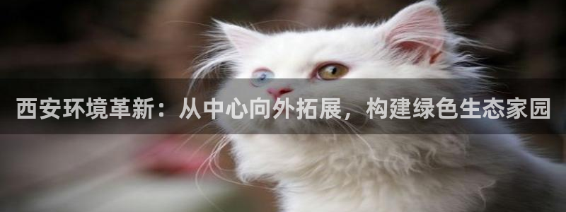 彩名堂预测软件：西安环境革新：从中心