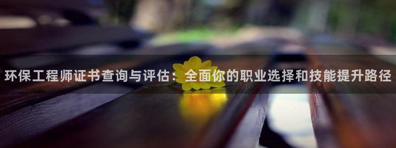 彩名堂手机版官网：环保工程师证书查询与评估：全面你的职业选择