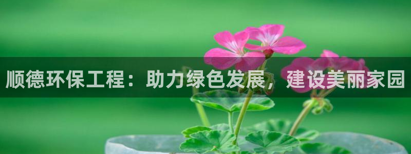 彩名堂计划官方下载网址：顺德环保工程：助力绿色发展，建设美丽
