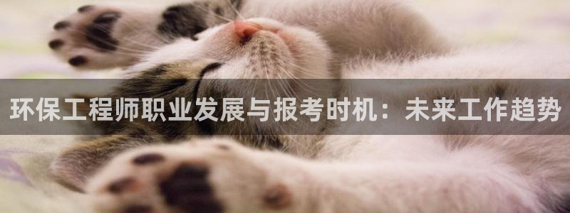 彩名堂和01计划哪个好：环保工程师职业发展与报考时机：未来工
