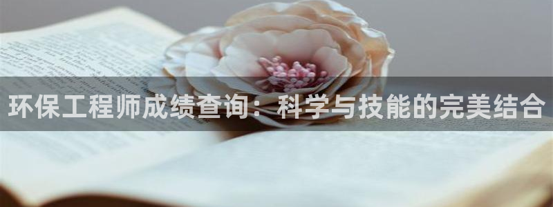 彩名堂01计划：环保工程师成绩查询：