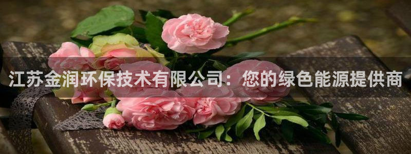 彩名堂4.3：江苏金润环保技术有限公司：您的绿色能源提供商