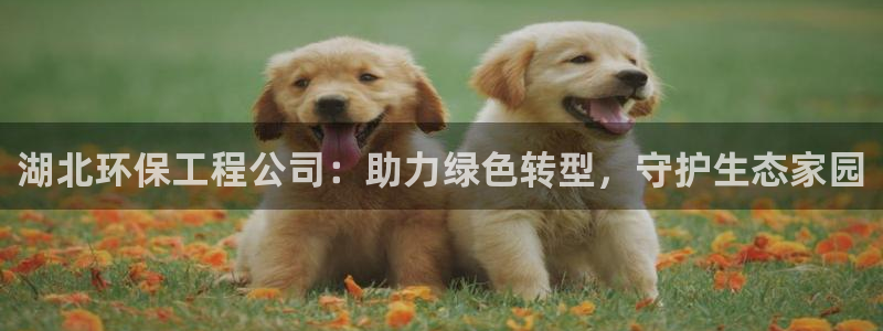彩名堂怎么跟计划才不连挂呢：湖北环保工程公司：助力绿色转型，
