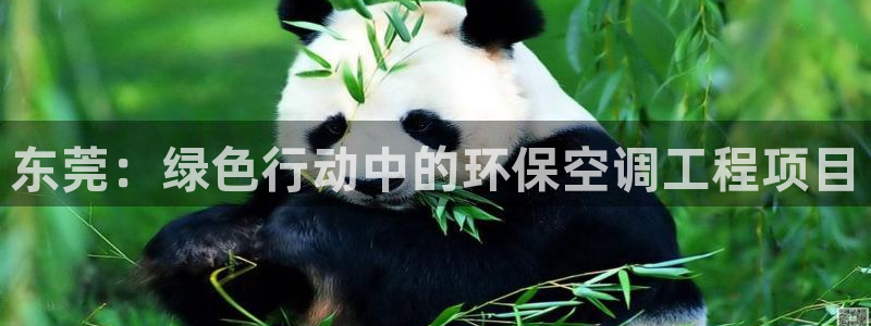 下载彩名堂预测计划软件：东莞：绿色行动中的环保空调工程项目