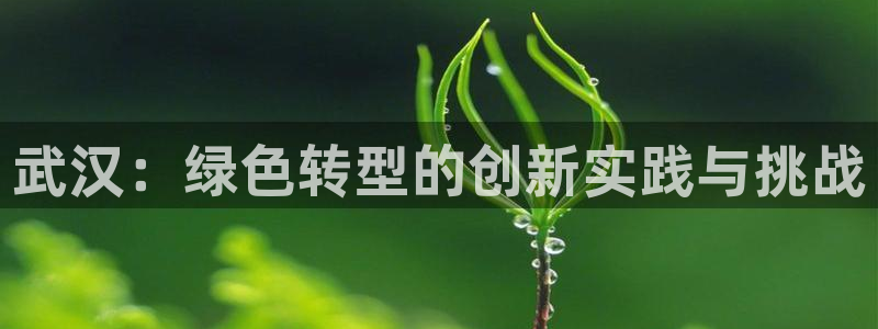 彩名堂官网计划怎么下载：武汉：绿色转型的创新实践与挑战
