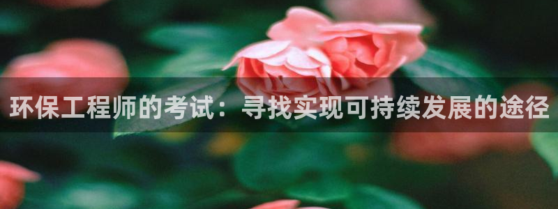 彩名堂计划真的准吗：环保工程师的考试：寻找实现可持续发展的途